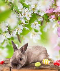Funny little rabbit. Easter background.