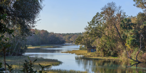 Natural Spring Fed River Florida