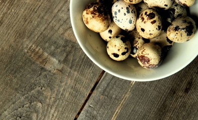 quail eggs