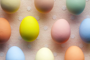 Colored Easter eggs and small flowers in background