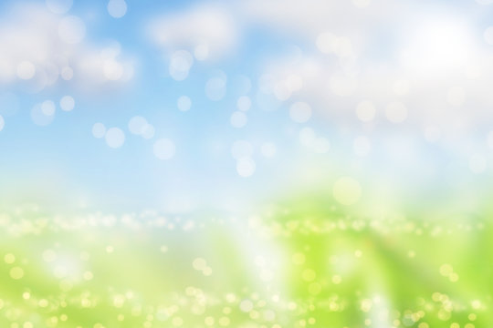 Spring or summer blurred nature background with grass.