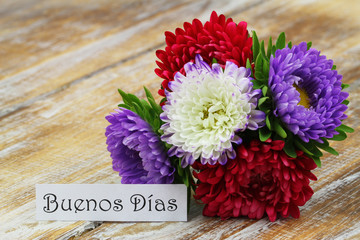 Buenos Dias (Good morning in Spanish) with colorful aster flower bouquet
