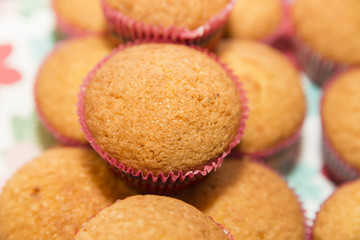 background pink cupcakes in the shape of