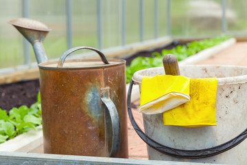 Agricultural tools. Watering can, bucket, yellow gloves