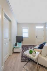 Interior design of a luxury living room