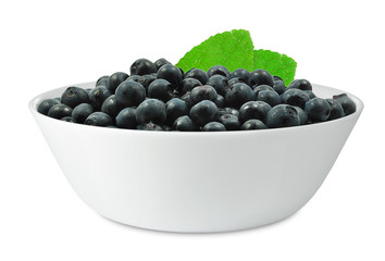 blueberries in a bowl isolated