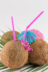 Fresh coconut cocktail for the summer