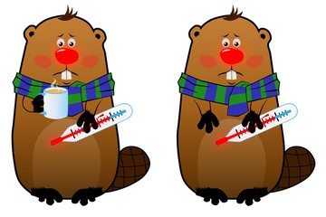 Sick beaver with thermometer and mug on white background