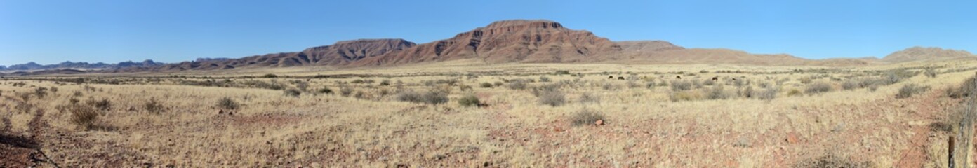 Steppe, Namib, Namibia