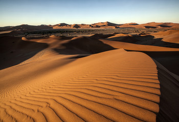 Fototapeta na wymiar Rolling sand dunes in a desert