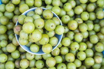 Top view local Thai green gooseberry fruit in Chiang Mai market