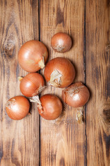 Fresh onion on old wooden burned table or board for background