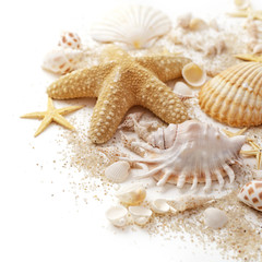 seashells and sand on white background