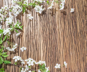 Blooming cherry twig over old wooden table.