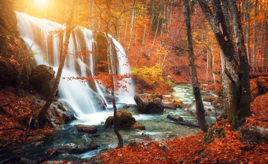 Foto op Plexiglas Beautiful waterfall at mountain river in colorful autumn forest with red and orange leaves at sunset. Nature landscape © den-belitsky