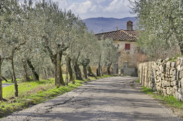 Fototapeta na wymiar Tuscany country house Road