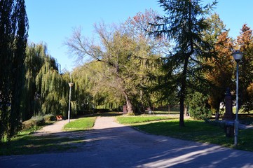 Alejki © W Korczewski