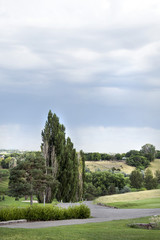 Fototapeta na wymiar storm clouds with tree in landscape image just north of salt lake city utah