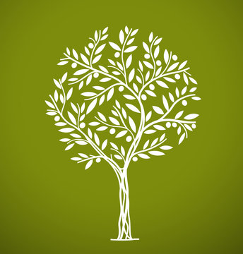 Olive tree. It can be use for packaging, label, icon and etc.