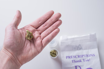 hand holding medical cannabis close