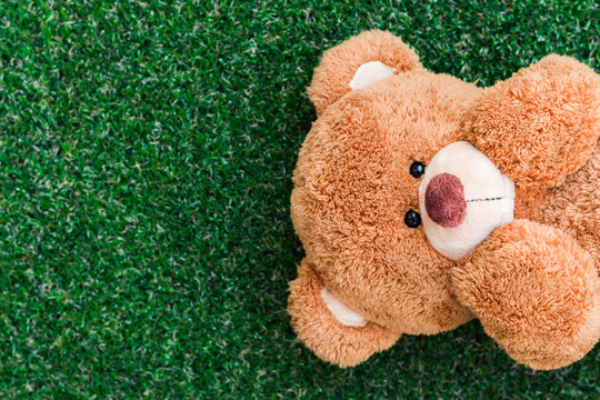 Cute teddy bear