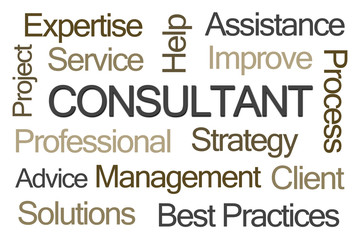 Consultant Word Cloud