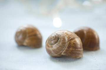 Traditional French cuisine