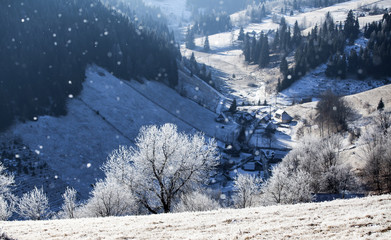 Hoarfrost covered winter landscape