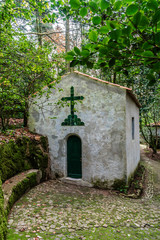 Park of Pena National Palace (Palacio Nacional da Pena) Sintra.