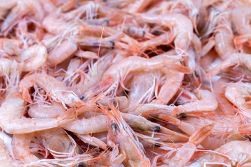 Raw Shrimps Background