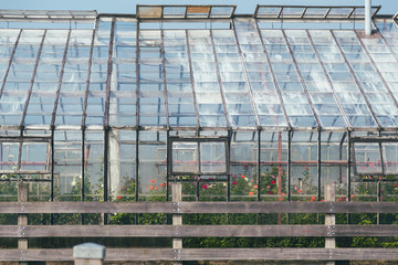 glass greenhouse exterior