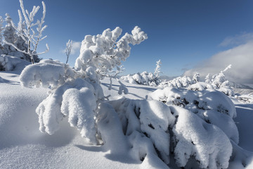 Tatry zachodnie zimą © burasek79