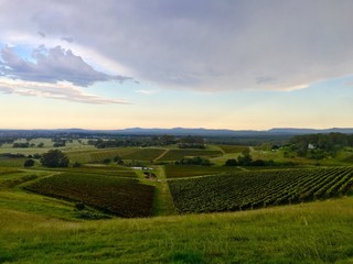 Panorama of hunter valley in NSW
