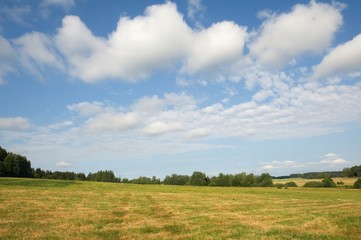 Novohradske mountains near village Dobra Voda , South Bohemia, Czech republic