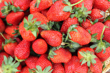 Fresh strawberries