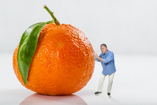 clemenvilla/contrôler la qualité des mandarines