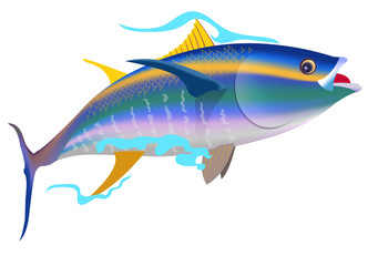 Yellowfin tuna