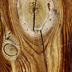 Wood Surfaceimage texture