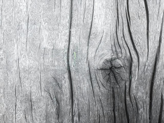 old wood texture background