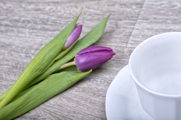 Cup and purple tulip on the wooden background