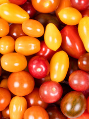 Fototapeta na wymiar Fresh mixed small tomatoes in filled frame format