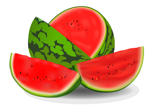Vector watermelon ;Vector illustration