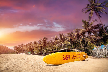Tropical sunset at Goa beach - obrazy, fototapety, plakaty