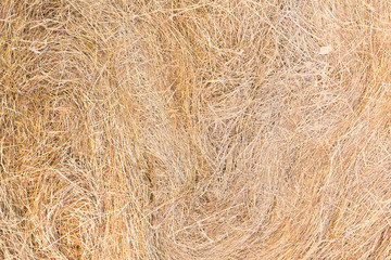 Texture of dry straw