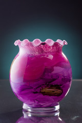 Glass Vase on a Dark Blue Background