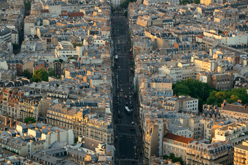 Obraz premium Paris rooftop