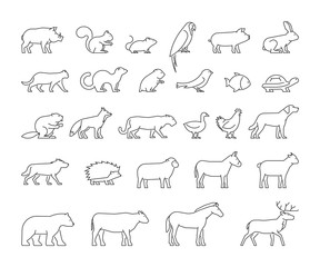 Vector line set of domestic and wild animals.