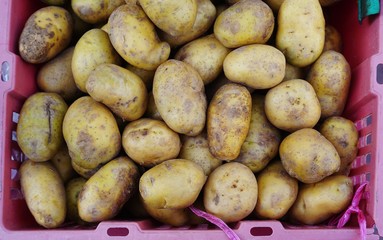New potatoes in a crate at the market