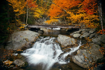 Colorful Autumn creek