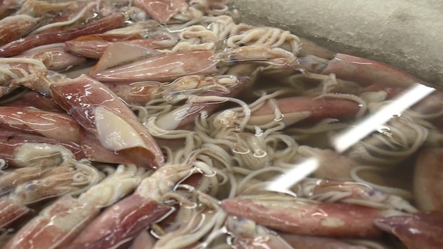 Fresh Raw Squid on Ice in Fish Market